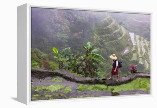 Igorot Woman, Rice Terraces, Agriculture, Philippine Cordilleras, Philippines-Keren Su-Framed Premier Image Canvas