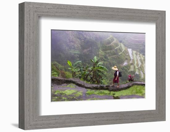 Igorot Woman, Rice Terraces, Agriculture, Philippine Cordilleras, Philippines-Keren Su-Framed Photographic Print