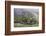 Igorot Woman, Rice Terraces, Agriculture, Philippine Cordilleras, Philippines-Keren Su-Framed Photographic Print