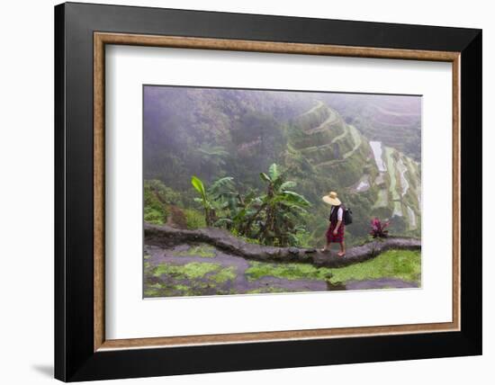 Igorot Woman, Rice Terraces, Agriculture, Philippine Cordilleras, Philippines-Keren Su-Framed Photographic Print