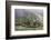 Igorot Woman, Rice Terraces, Agriculture, Philippine Cordilleras, Philippines-Keren Su-Framed Photographic Print