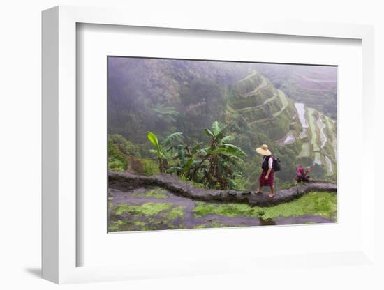 Igorot Woman, Rice Terraces, Agriculture, Philippine Cordilleras, Philippines-Keren Su-Framed Photographic Print