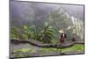 Igorot Woman, Rice Terraces, Agriculture, Philippine Cordilleras, Philippines-Keren Su-Mounted Photographic Print