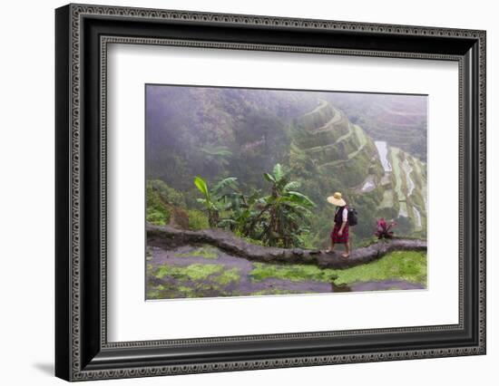 Igorot Woman, Rice Terraces, Agriculture, Philippine Cordilleras, Philippines-Keren Su-Framed Photographic Print