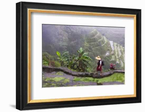 Igorot Woman, Rice Terraces, Agriculture, Philippine Cordilleras, Philippines-Keren Su-Framed Photographic Print