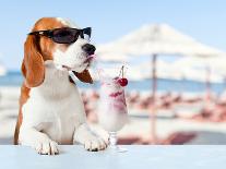 Cute Dog in Sunglasses Drink Cocktail-igorr-Framed Photographic Print