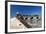 Iguana Basking, San Cristobal Fort, San Juan, PR-George Oze-Framed Photographic Print