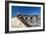 Iguana Basking, San Cristobal Fort, San Juan, PR-George Oze-Framed Photographic Print