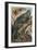 Iguana by Alfred Edmund Brehm-Stefano Bianchetti-Framed Giclee Print