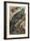 Iguana by Alfred Edmund Brehm-Stefano Bianchetti-Framed Giclee Print