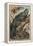 Iguana by Alfred Edmund Brehm-Stefano Bianchetti-Framed Premier Image Canvas