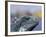 Iguana, Curacao, Caribbean-Greg Johnston-Framed Photographic Print