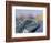 Iguana, Curacao, Caribbean-Greg Johnston-Framed Photographic Print