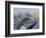 Iguana, Curacao, Caribbean-Greg Johnston-Framed Photographic Print