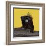 Iguana Gold-Sharon Turner-Framed Art Print
