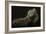 Iguana Profile-Aleksandar Milosavljevic-Framed Giclee Print