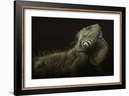 Iguana Profile-Aleksandar Milosavljevic-Framed Giclee Print