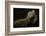 Iguana Profile-Aleksandar Milosavljevi?-Framed Photographic Print