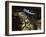 Iguana Wearing a Sombrero in Cabo San Lucas-Danny Lehman-Framed Photographic Print