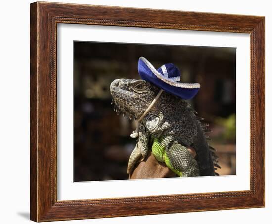 Iguana Wearing a Sombrero in Cabo San Lucas-Danny Lehman-Framed Photographic Print