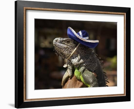 Iguana Wearing a Sombrero in Cabo San Lucas-Danny Lehman-Framed Photographic Print