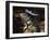 Iguana Wearing a Sombrero in Cabo San Lucas-Danny Lehman-Framed Photographic Print