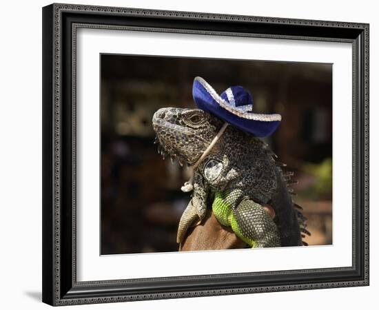 Iguana Wearing a Sombrero in Cabo San Lucas-Danny Lehman-Framed Photographic Print