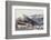 Iguana-DLILLC-Framed Photographic Print