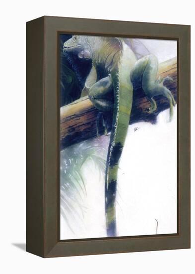 Iguana-Durwood Coffey-Framed Premier Image Canvas