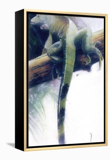 Iguana-Durwood Coffey-Framed Premier Image Canvas