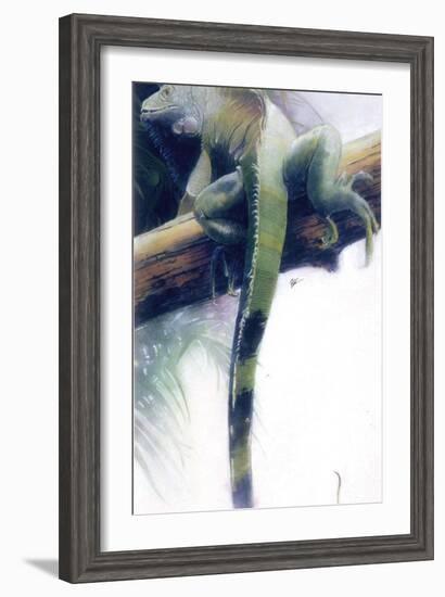 Iguana-Durwood Coffey-Framed Giclee Print