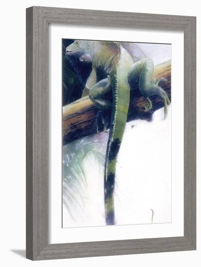 Iguana-Durwood Coffey-Framed Giclee Print