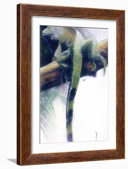 Iguana-Durwood Coffey-Framed Giclee Print