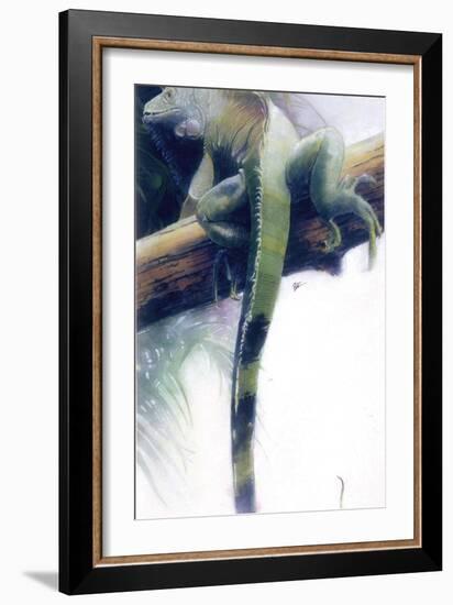 Iguana-Durwood Coffey-Framed Giclee Print