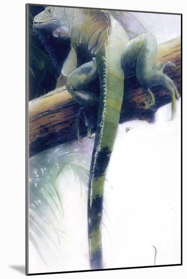 Iguana-Durwood Coffey-Mounted Giclee Print