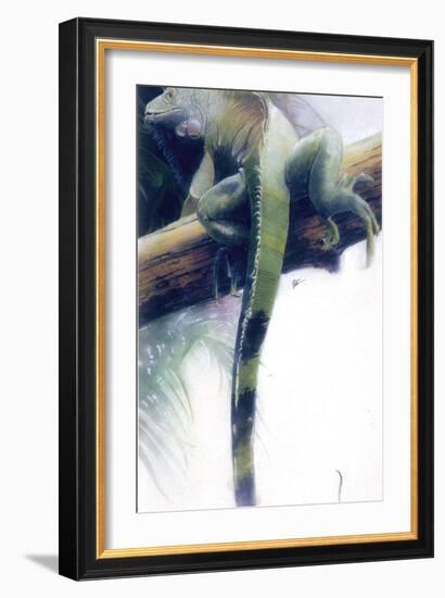 Iguana-Durwood Coffey-Framed Giclee Print