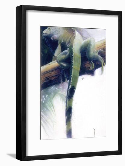Iguana-Durwood Coffey-Framed Giclee Print