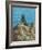 Iguana-Robert Wavra-Framed Giclee Print