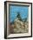 Iguana-Robert Wavra-Framed Giclee Print