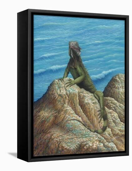 Iguana-Robert Wavra-Framed Premier Image Canvas