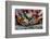 Iguanas, Espanola Island, Galapagos Islands, Ecuador, South America-Laura Grier-Framed Photographic Print