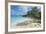 Iguanas on a White Sand Beach, Exumas, Bahamas, West Indies, Caribbean, Central America-Michael Runkel-Framed Photographic Print