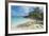 Iguanas on a White Sand Beach, Exumas, Bahamas, West Indies, Caribbean, Central America-Michael Runkel-Framed Photographic Print