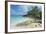 Iguanas on a White Sand Beach, Exumas, Bahamas, West Indies, Caribbean, Central America-Michael Runkel-Framed Photographic Print