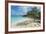 Iguanas on a White Sand Beach, Exumas, Bahamas, West Indies, Caribbean, Central America-Michael Runkel-Framed Photographic Print