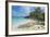 Iguanas on a White Sand Beach, Exumas, Bahamas, West Indies, Caribbean, Central America-Michael Runkel-Framed Photographic Print