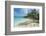 Iguanas on a White Sand Beach, Exumas, Bahamas, West Indies, Caribbean, Central America-Michael Runkel-Framed Photographic Print