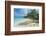 Iguanas on a White Sand Beach, Exumas, Bahamas, West Indies, Caribbean, Central America-Michael Runkel-Framed Photographic Print