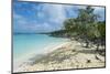 Iguanas on a White Sand Beach, Exumas, Bahamas, West Indies, Caribbean, Central America-Michael Runkel-Mounted Photographic Print