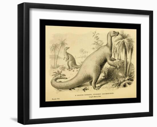 Iguanodon Bernissartensis-Joseph Smit-Framed Art Print
